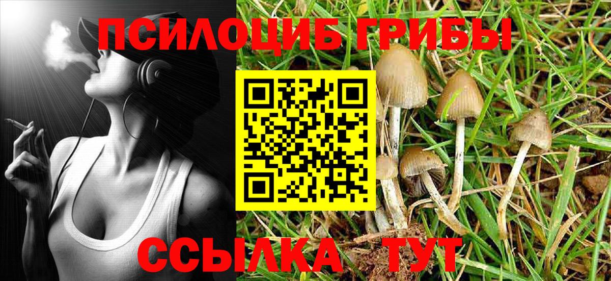 Псилоцибиновые грибы мицелий  Псилоцибиновые грибы Magic Shrooms  Вход с VPN  Новочебоксарск 